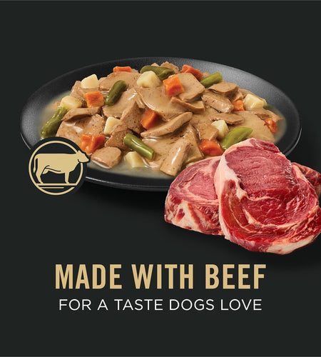 High Protein, Gravy Adult Wet Dog Food - (12) 13 Oz. Cans