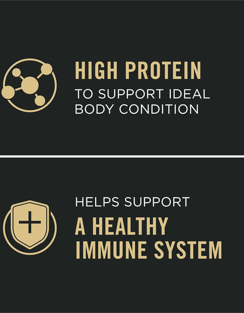 Load image into Gallery viewer, High Protein, Gravy Adult Wet Dog Food - (12) 13 Oz. Cans
