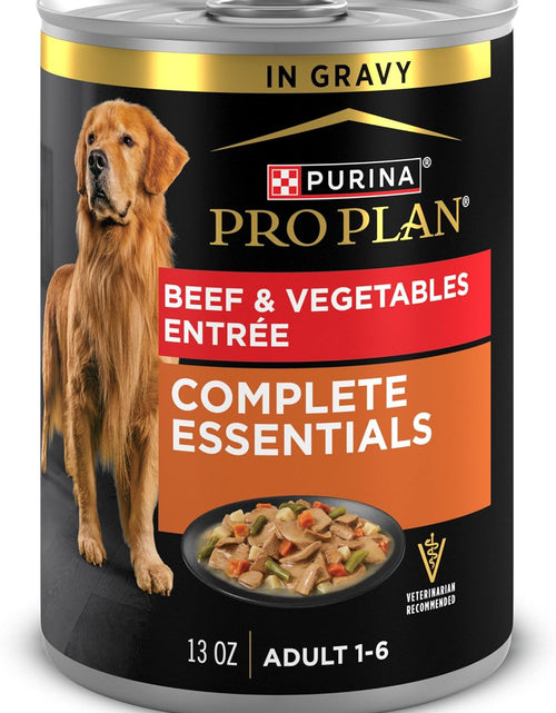 Load image into Gallery viewer, High Protein, Gravy Adult Wet Dog Food - (12) 13 Oz. Cans
