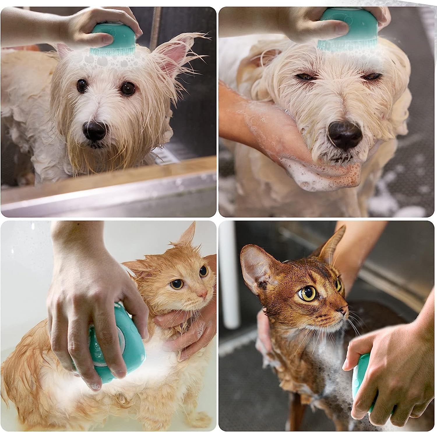 Dog Bath Brush, Pet Massage Brush Shampoo Dispenser, Soft Silicone Brush Rubber Bristle for Dogs and Cats Shower Grooming (Blue)