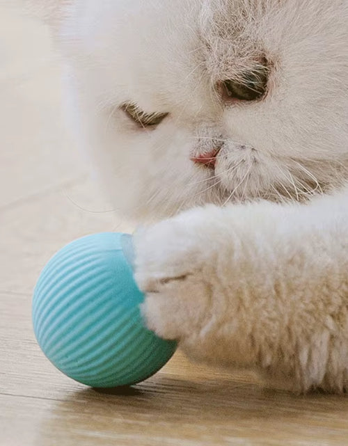 Load image into Gallery viewer, Automatic Moving Cats Toy Interactive Ball Rechargeable Rolling Electric Ball Home Pet Accessories Things for Supplies
