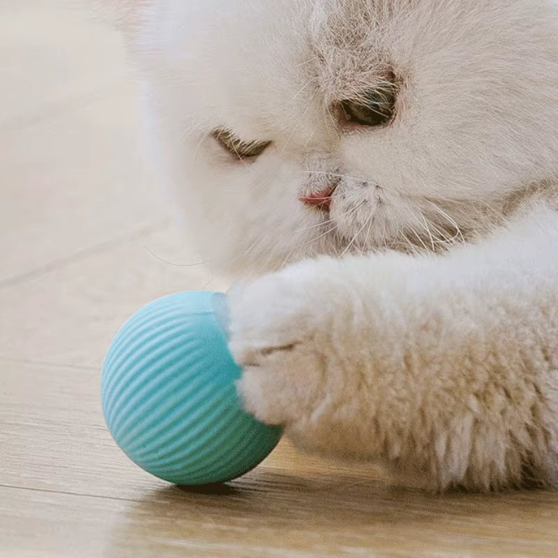 Automatic Moving Cats Toy Interactive Ball Rechargeable Rolling Electric Ball Home Pet Accessories Things for Supplies
