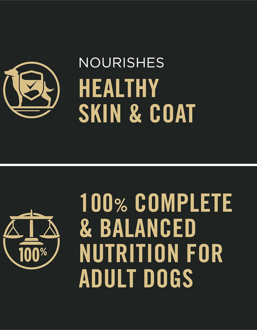 Load image into Gallery viewer, High Protein, Gravy Adult Wet Dog Food - (12) 13 Oz. Cans
