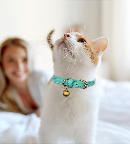3 Pack Leather Cat Collars with Bells Soft Pet Safety Collar Kitten Collars with Bell Orange Yellow Mint Green(S)