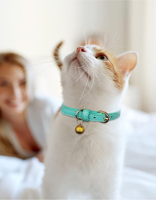 Load image into Gallery viewer, 3 Pack Leather Cat Collars with Bells Soft Pet Safety Collar Kitten Collars with Bell Orange Yellow Mint Green(S)

